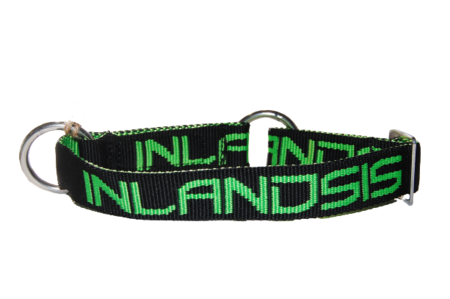 Inlandsis collar