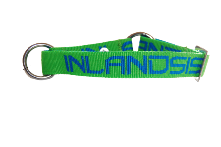 Inlandsis collar