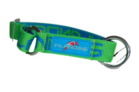Inlandsis collar