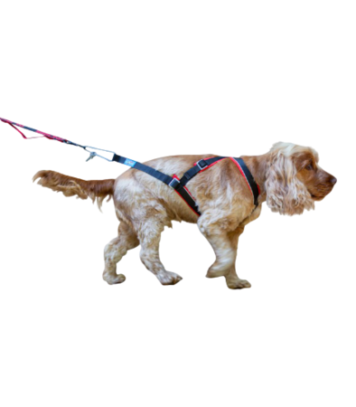 Inlandsis open-back harnas Red - kleine hond t/m 24KG