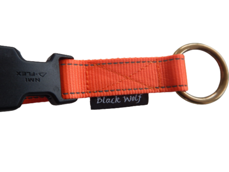 Halsband met steekslot & veiligheidsring