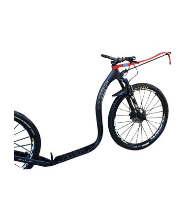 Inlandsis Bikejor Extension