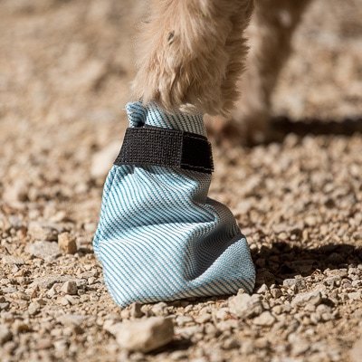 Bootie Armor