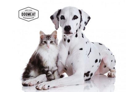 Catmeat Beefmix Rund - 500 gram