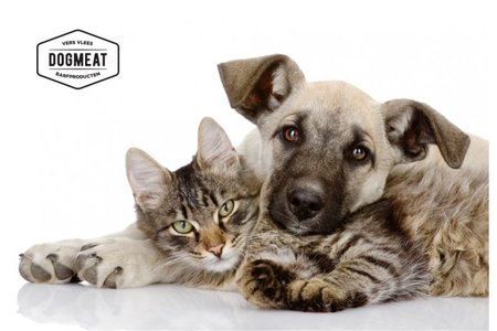Catmeat Beefmix Vis- 500 gram