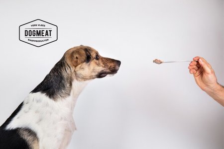 Medipetfood Gewrichten - 500 gram