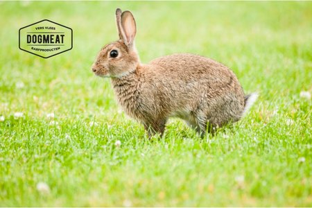 Cat's Nature Konijn - 200 gram