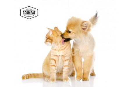 Cat's Nature Paard - 200 gram