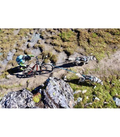 Inlandsis Twinjor - Bikeline 2 honden.