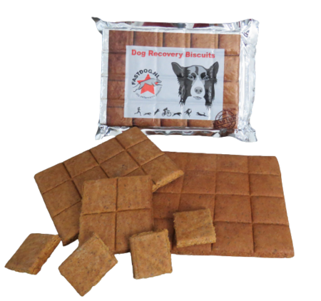 Fastdog Dog Recovery Biscuits