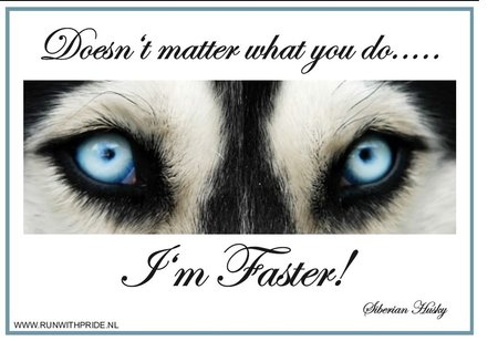 I'm Faster