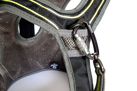 EQDog Pro Harnas - groen