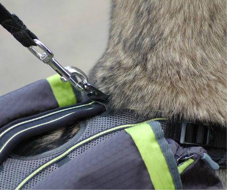 EQDog Pro Harnas - groen