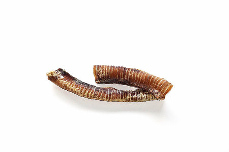 Runderluchtpijp | 1 KG