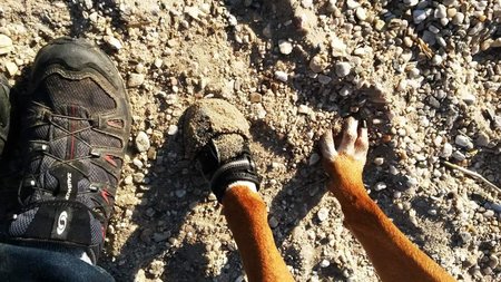 4Season Shoes
