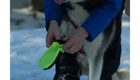 Dog Boot (2 stuks)