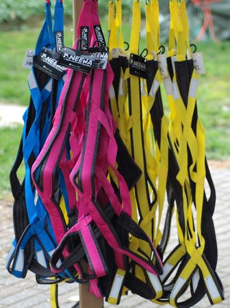 Sleddog Pro harnas | X Back harnas