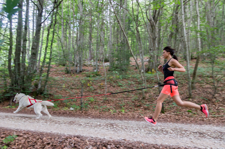 Sleddog Pro harnas | X Back harnas