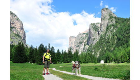 Dog Trekking Belt | Heupgordel