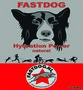 Fastdog - Hydration Power - 2,5 KG
